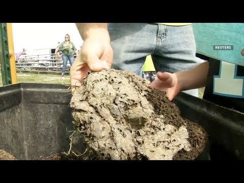 شاهد انطلاق مهرجان رمى أقراص الجلة