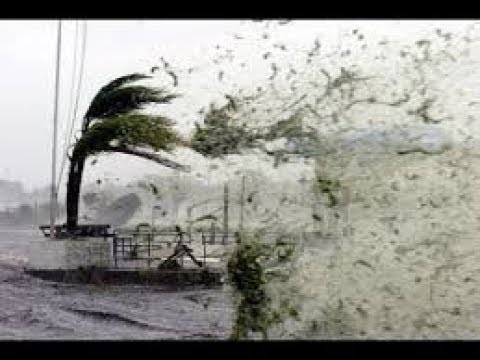 لقطات من إعصار إيرما المدمر الذي يضرب فلوريدا