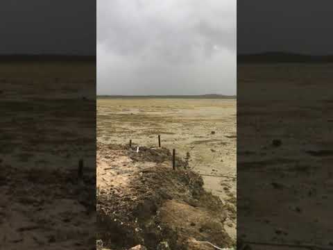 اختفاء مياه المحيط في جزر البهاما بسبب إعصار إرما