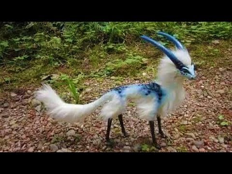 أغرب حيوانات يمكن أن تراهم في حياتك