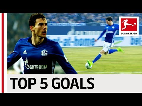 شاهد أبرز 5 أهداف لنجم شالكة الألماني في البوندزليغا