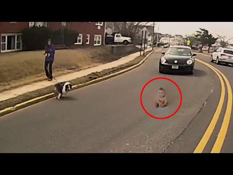 حيوانات أليفة أنقذت حياة أصحابها