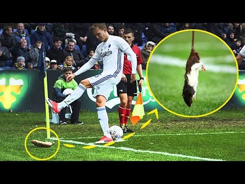 9 أشياء غريبة ألقيت على أرض ملعب كرة القدم