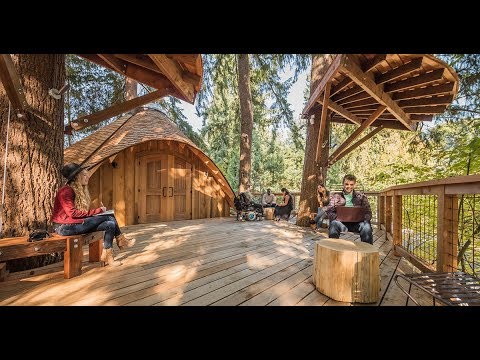 مايكروسوفت تبنى مكاتب جديدة لموظفيها على الأشجار