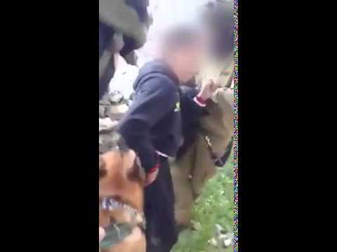 جنود الاحتلال يطلقون كلبًا على طفل فلسطيني