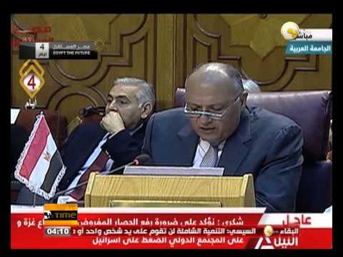 شكري يؤكد أنَّه التعاطي الدولي مع سورية غير مؤثر