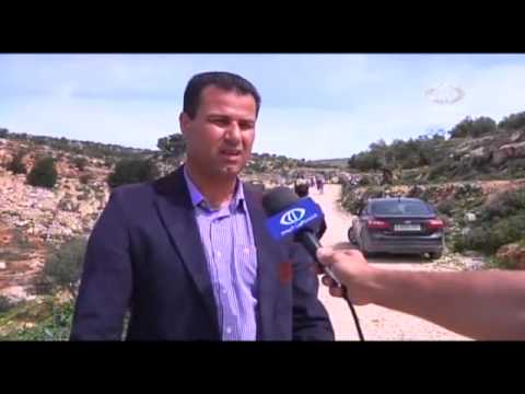 الجرافات الإسرائيلية تقتلع 300 شجرة زيتون