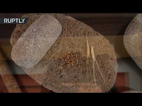 شاهد افتتاح معرض يضُم نحو 500 قطعة أثرية بعد استردادها في دمشق