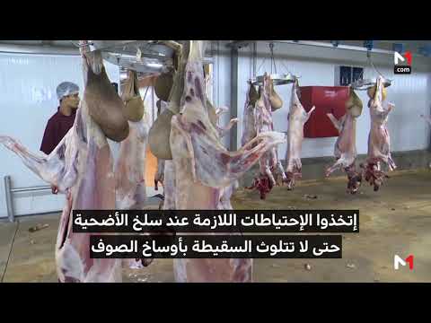 نصائح عليك اتباعها قبل وبعد عملية ذبح الأضاحي