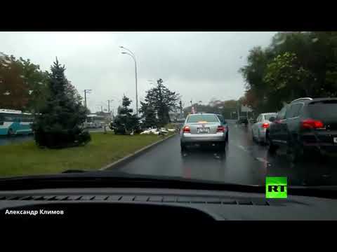 سرب من الأوز يتسبب بأزمة سير في مدينة كراسنودار جنوب