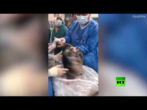 أفضل إعلان ضد التدخين على الإطلاق