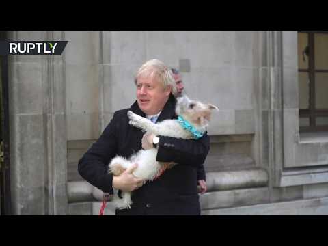 كلب بوريس جونسون يرافقه أثناء الإدلاء بصوته في الانتخابات