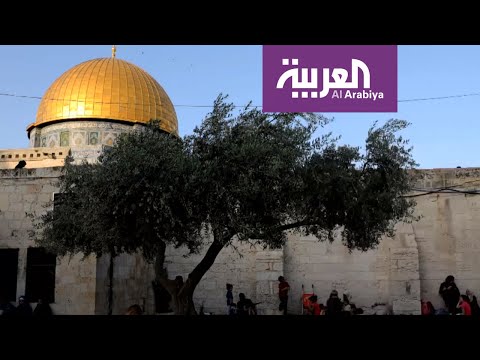 شاهد بنود مسربة من خطة الرئيس ترامب للسلام في الشرق الأوسط