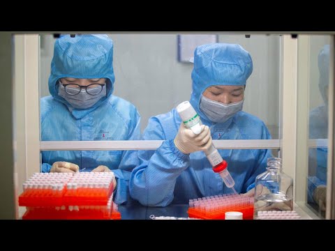 شاهد  الإمارات تعلن عن أول إصابة بفيروس كورونا