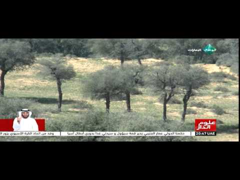 شاهد رأس الخيمة تبذل جهودها لحماية المئات من أشجار الغاف