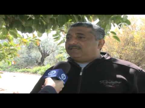 شاهداللاجئون الفلسطينيون يناشدون الحكومة اللبنانية بوقف مشروع الأوتستراد  اخبار