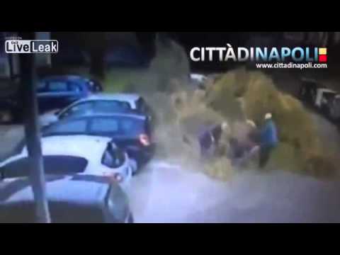 لحظة سقوط شجرة ضخمة فوق امرأة فيديو