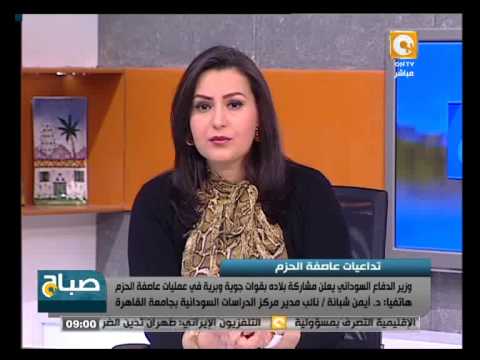 وزير الدفاع السوداني يؤكد مشاركة بلاده في عاصفة الحزم شاهد