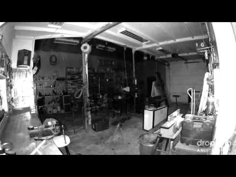 فيديو مغامرة مثيرة لـعنكبوت