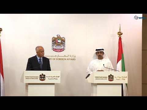 شاهد بن زايد يؤكد تحقق أهداف عاصفة الحزم