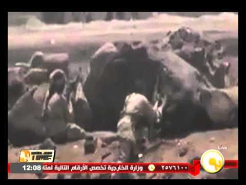 شاهد اللجان الشعبية في عدن تحبط هجومًا للميليشيات الحوثية