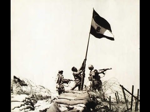 شاهد السادات يؤكد أن المجندات كن يبكين حزنًا على إنزال العلم الإسرائيلي