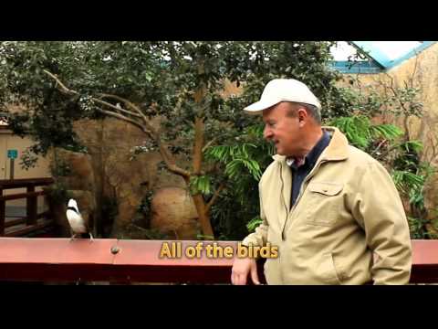 شاهد عصفور يضرب رجلاً قاطع تغريداته