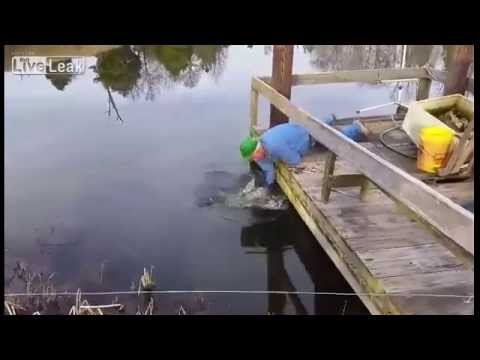 شاهد رجل يستخدم يده كسنارة لاصطياد سمكة ضخمة