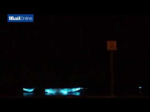 شاهد رد فعل الكائنات البحرية عند تلاطم الأمواج