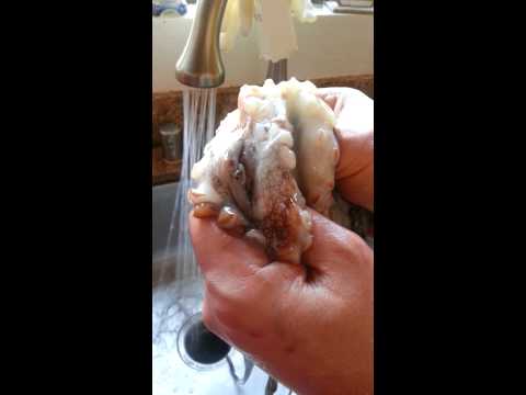 شاهد تغيُّر لون أخطبوط في آخر لحظات حياته