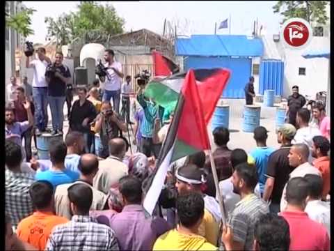 بالفيديو معاناة صيادي غزة ومزارعيها