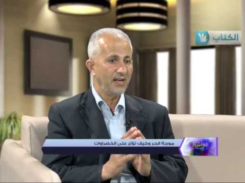 شاهد موجة الحر تؤثر على الخضروات في قطاع غزة