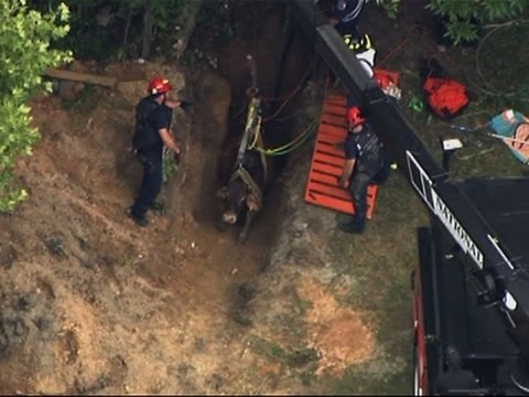 فيديو انتشال ثور هائج بعد سقوطه في حفرة عميقة