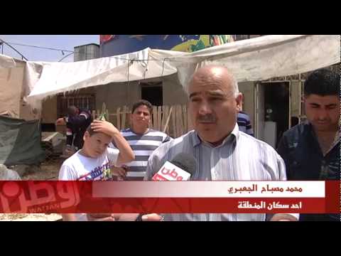 شاهد كلاب ضالة تهاجم مزرعة أغنام وتقتل 10 رؤوس