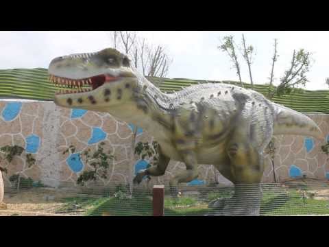 فيديو ديناصور في حديقة الحيوان