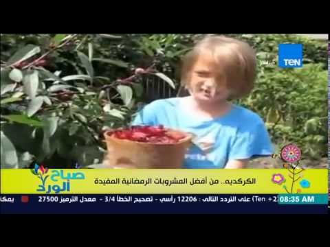 بالفيديو تعرف على أهمية مشروب الكركديه الصحية