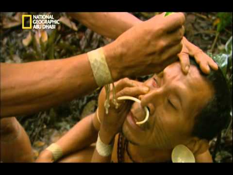 شاهد غابات الأمازون الرئة التي تتنفس بها الأرض