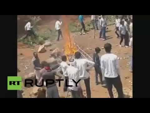 شاهد الصدفة تنقذ رجلًا هنديًا من قبضة دب شرس