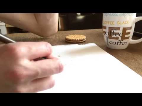 بالفيديو قطة تتبول كالبشر