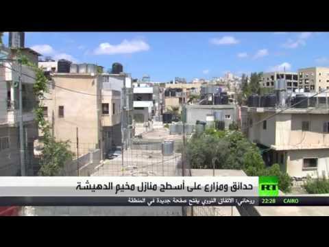 حدائق ومزارع على أسطح منازل مخيم الدهيشة