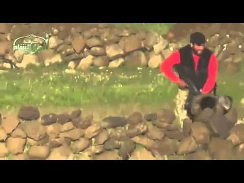 فيديو أسر أحد جنود القوات الحكومية في ريف القنيطرة