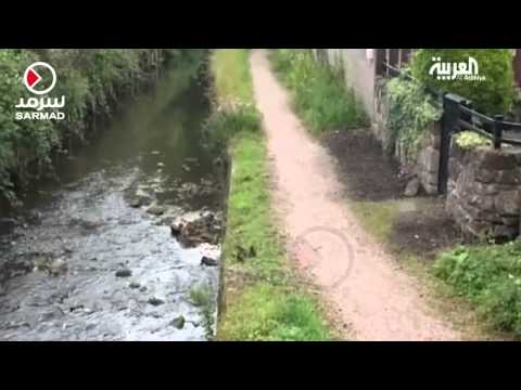 شاهد شرطيان في اسكتلندا يساعدان عائلة من البط