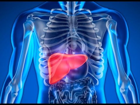 بالفيديو الكبد الحاد يسبب وفاة 15 مليون شخص سنويًا