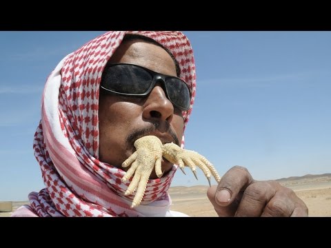 بالفيديو أغرب 10 أكلات في العالم