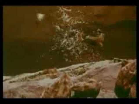 شاهد أبرز 11 حيواًنا أٌقدمت على الانتحار