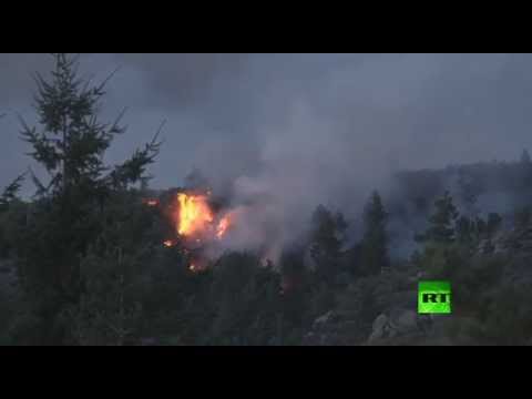 شاهد حرائق الغابات تهدد المحميات الطبيعية المهمة