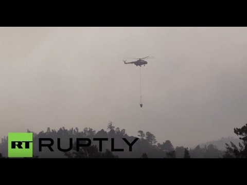 شاهد رجال الإطفاء يكافحون حرائق سيبيريا