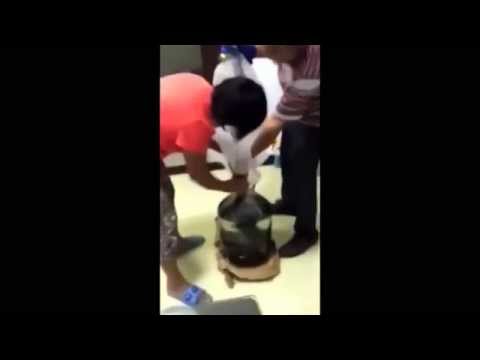 شاهد صينيان يضعان ثعبانًا حيًا في إناء من الخمر ويغلقونه عليه