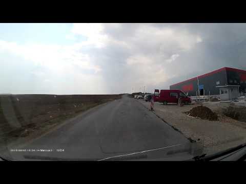 شاهد كلبة تنقذ حياة ابنها بشده من ذيله عند مرور السيارات