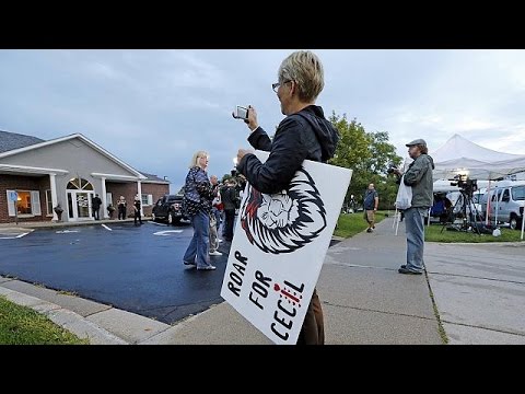 شاهد قاتل الأسد سيسيل يعود لمزاولة عمله